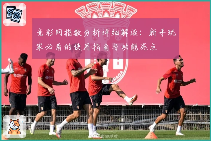 竞彩网指数分析详细解读：新手玩家必看的使用指南与功能亮点
