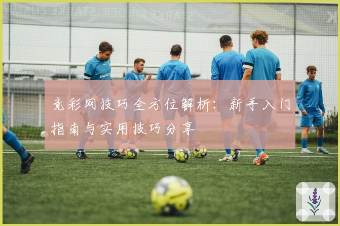 竞彩网技巧全方位解析：新手入门指南与实用技巧分享